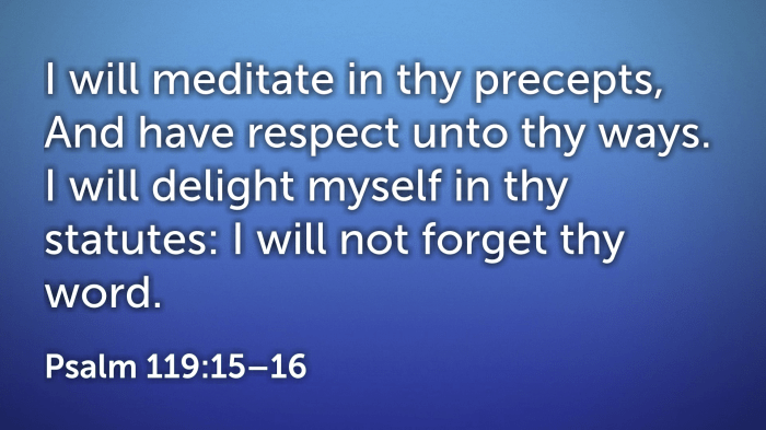 ps 119 (15-16)