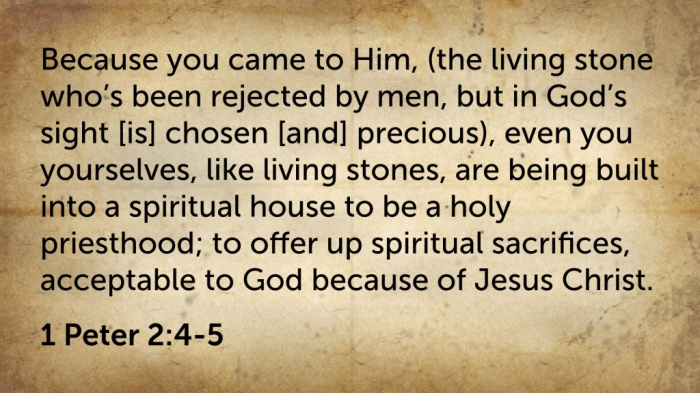 Generic Parchment Reference (ES)