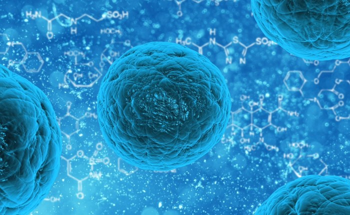 COVID, the Church, the State and a more excellent&nbsp;way?