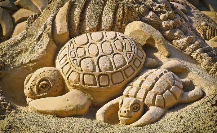 Don’t be a turtle! Thoughts about Christians and the 2020&nbsp;election