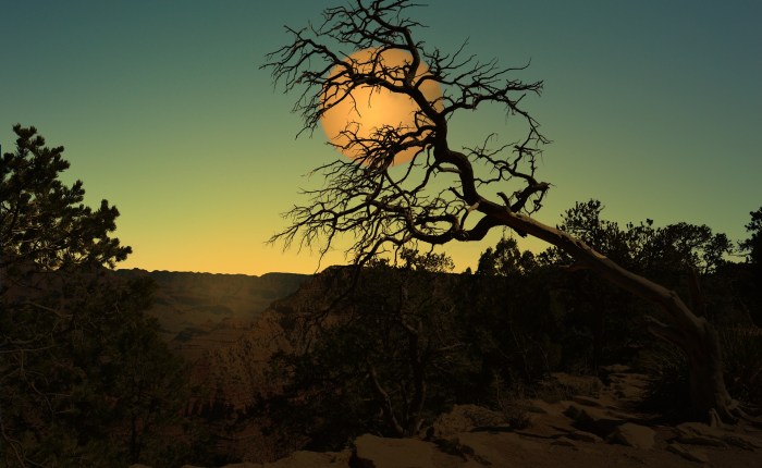 Good book on preaching the&nbsp;psalms